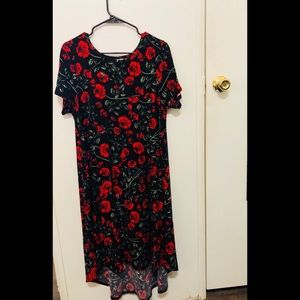 LulaRoe Medium Carly*Rare*